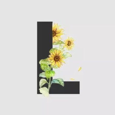 我喜欢的