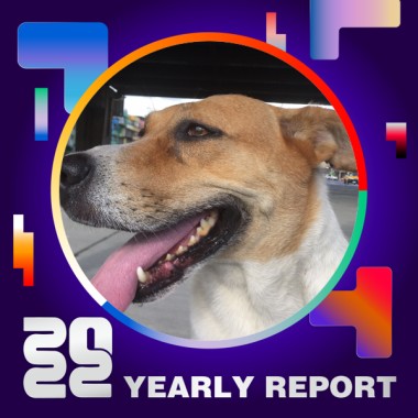 2022 個人年度精選