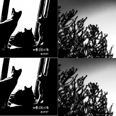 查查