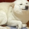 2019 年度歌單