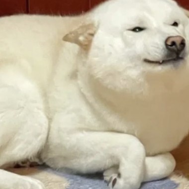 2019 年度歌單