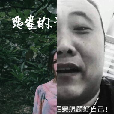 我的歌單 1