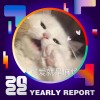 2022 個人年度精選