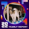 2022 個人年度精選