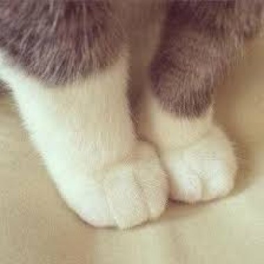 ㄚ