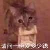 ꒰˵･᷄-･᷅˵꒱