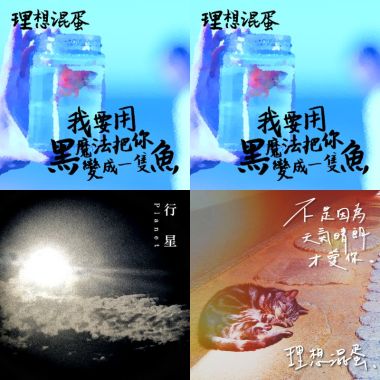 理想混蛋