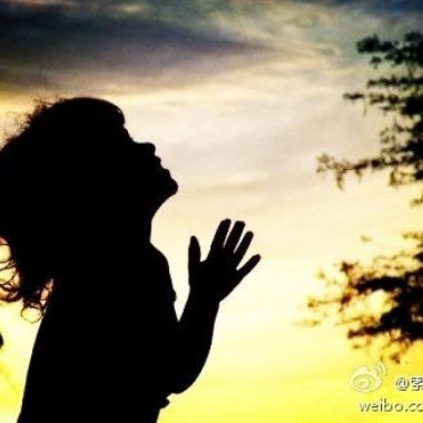 我的歌單  