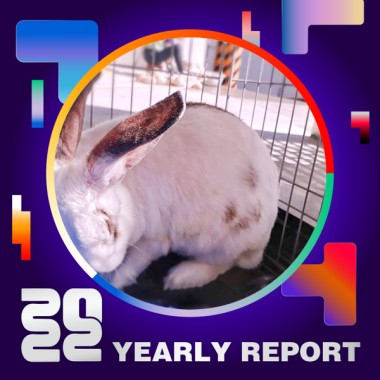 2022 個人年度精選