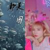都是因為愛