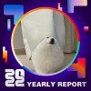 2022 個人年度精選
