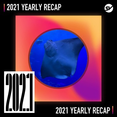 2021 個人年度精選之最