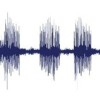voice