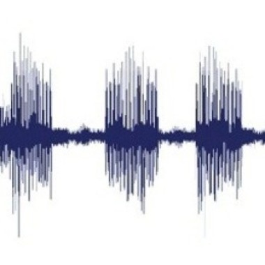 voice