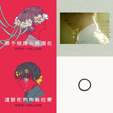 南肯告混蛋