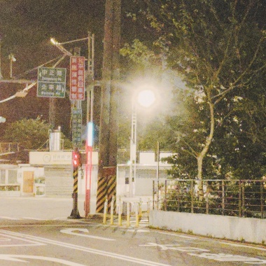 愛情在哪