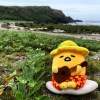 蛋黃哥想彈吉他