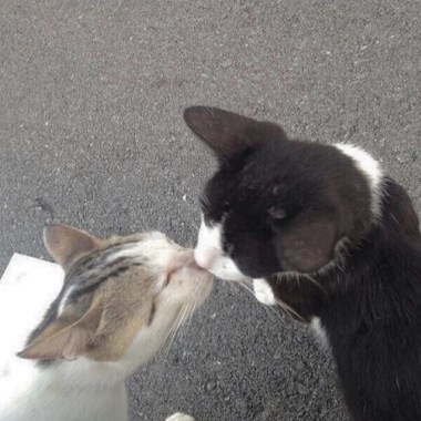 ♡