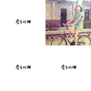房東的貓