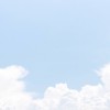 房貓/鄭興/奕超