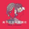 台灣怎麼辦