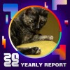 2022 個人年度精選