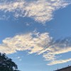 酷酷歌單