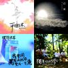 我的歌單 2