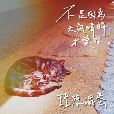 不是因為天氣晴朗才愛你