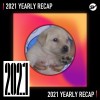 2021 個人年度精選之最