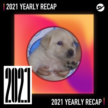 2021 個人年度精選之最