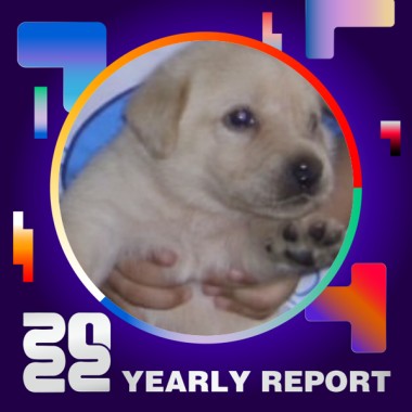 2022 個人年度精選