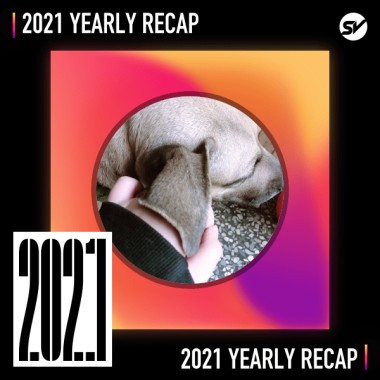 2021 個人年度精選之最
