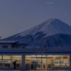 成长