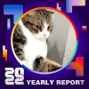 2022 個人年度精選