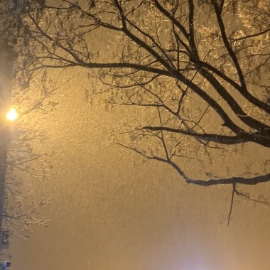 寄居地
