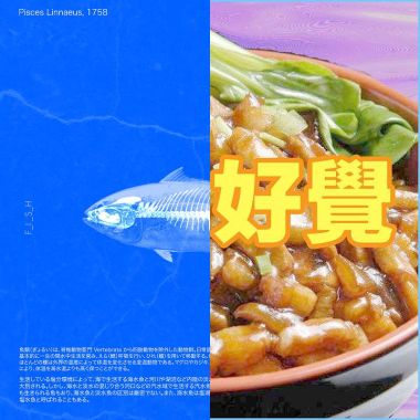 ?有點饒