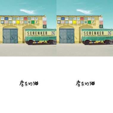 房東的貓