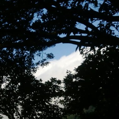 積雨雲