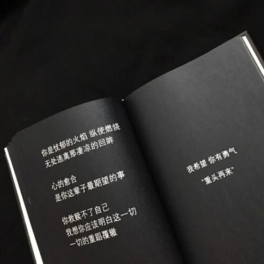 视线所及