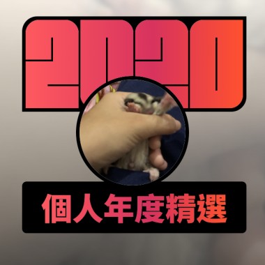 2020 專屬年度回顧 | StreetVoice 街聲