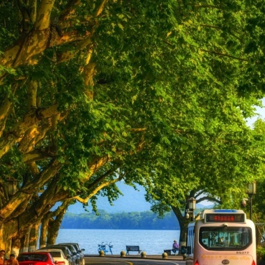 还是想约你一起去孤山路散步诶