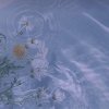 Petrichor 初雨的气息。