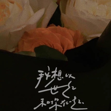 等到日出再起舞