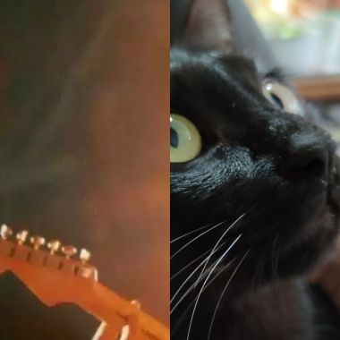 floyd