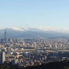屌