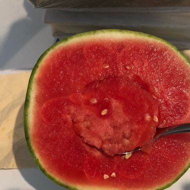 儿歌儿