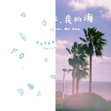 我的歌单