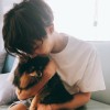 傻子与白痴