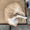 蕾蕾歌(●´⌓`●)